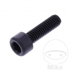 JMP Tornillo cilíndrico aluminio cabeza hexagonal M6X1.00 MM 775.06.79VAR