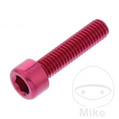 JMP Tornillo cilíndrico aluminio cabeza hexagonal M6X1.00 MM 775.06.79VAR