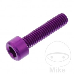 JMP Tornillo cilíndrico aluminio cabeza hexagonal M6X1.00 MM 775.06.79VAR