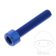 JMP Tornillo cilíndrico aluminio cabeza hexagonal M6X1.00 MM 775.06.79VAR