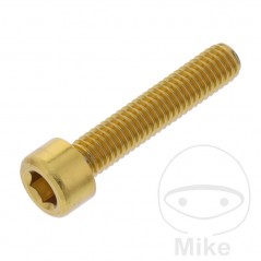 JMP Tornillo cilíndrico aluminio cabeza hexagonal M6X1.00 MM 775.06.79VAR