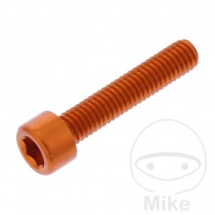 JMP Tornillo cilíndrico aluminio cabeza hexagonal M6X1.00 MM 775.06.79VAR
