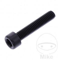 JMP Tornillo cilíndrico aluminio cabeza hexagonal M6X1.00 MM 775.06.79VAR