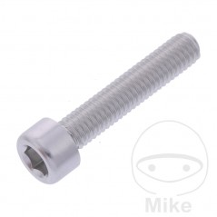 JMP Tornillo cilíndrico aluminio cabeza hexagonal M6X1.00 MM 775.06.79VAR