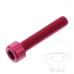 JMP Tornillo cilíndrico aluminio cabeza hexagonal M6X1.00 MM 775.06.79VAR