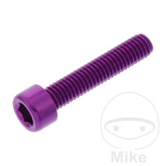 JMP Tornillo cilíndrico aluminio cabeza hexagonal M6X1.00 MM 775.06.79VAR