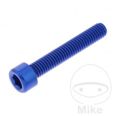 JMP Tornillo cilíndrico aluminio cabeza hexagonal M6X1.00 MM 775.06.79VAR