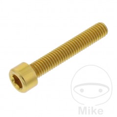 JMP Tornillo cilíndrico aluminio cabeza hexagonal M6X1.00 MM 775.06.79VAR