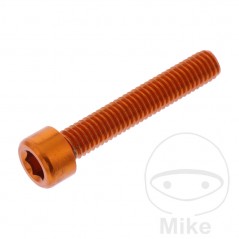 JMP Tornillo cilíndrico aluminio cabeza hexagonal M6X1.00 MM 775.06.79VAR