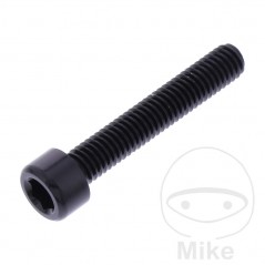JMP Tornillo cilíndrico aluminio cabeza hexagonal M6X1.00 MM 775.06.79VAR