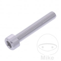 JMP Tornillo cilíndrico aluminio cabeza hexagonal M6X1.00 MM 775.06.79VAR