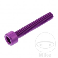 JMP Tornillo cilíndrico aluminio cabeza hexagonal M6X1.00 MM 775.06.79VAR