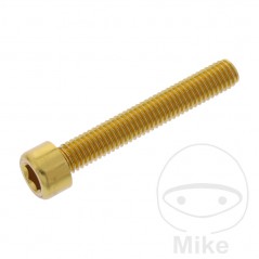 JMP Tornillo cilíndrico aluminio cabeza hexagonal M6X1.00 MM 775.06.79VAR