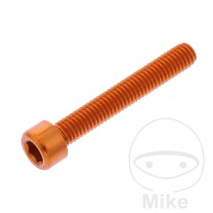 JMP Tornillo cilíndrico aluminio cabeza hexagonal M6X1.00 MM 775.06.79VAR