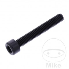 JMP Tornillo cilíndrico aluminio cabeza hexagonal M6X1.00 MM 775.06.79VAR