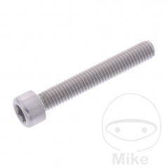 JMP Tornillo cilíndrico aluminio cabeza hexagonal M6X1.00 MM 775.06.79VAR
