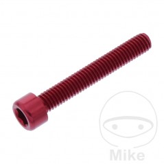 JMP Tornillo cilíndrico aluminio cabeza hexagonal M6X1.00 MM 775.06.79VAR