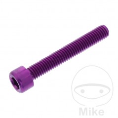 JMP Tornillo cilíndrico aluminio cabeza hexagonal M6X1.00 MM 775.06.79VAR