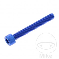JMP Tornillo cilíndrico aluminio cabeza hexagonal M6X1.00 MM 775.06.79VAR