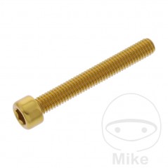JMP Tornillo cilíndrico aluminio cabeza hexagonal M6X1.00 MM 775.06.79VAR