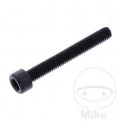 JMP Tornillo cilíndrico aluminio cabeza hexagonal M6X1.00 MM 775.06.79VAR
