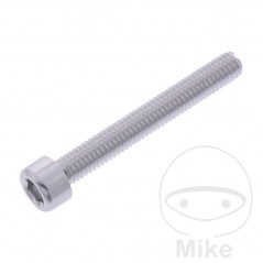 JMP Tornillo cilíndrico aluminio cabeza hexagonal M6X1.00 MM 775.06.79VAR