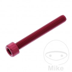 JMP Tornillo cilíndrico aluminio cabeza hexagonal M6X1.00 MM 775.06.79VAR