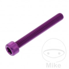 JMP Tornillo cilíndrico aluminio cabeza hexagonal M6X1.00 MM 775.06.79VAR