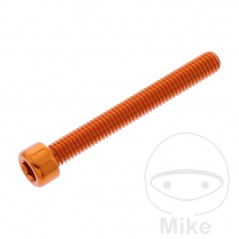 JMP Tornillo cilíndrico aluminio cabeza hexagonal M6X1.00 MM 775.06.79VAR