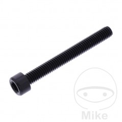 JMP Tornillo cilíndrico aluminio cabeza hexagonal M6X1.00 MM 775.06.79VAR