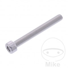 JMP Tornillo cilíndrico aluminio cabeza hexagonal M6X1.00 MM 775.06.79VAR