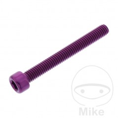 JMP Tornillo cilíndrico aluminio cabeza hexagonal M6X1.00 MM 775.06.79VAR