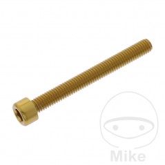 JMP Tornillo cilíndrico aluminio cabeza hexagonal M6X1.00 MM 775.06.79VAR