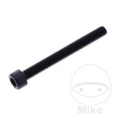 JMP Tornillo cilíndrico aluminio cabeza hexagonal M6X1.00 MM 775.06.79VAR