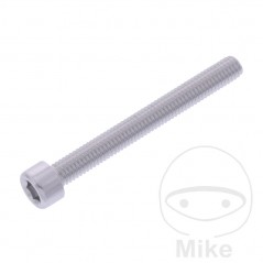 JMP Tornillo cilíndrico aluminio cabeza hexagonal M6X1.00 MM 775.06.79VAR
