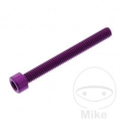 JMP Tornillo cilíndrico aluminio cabeza hexagonal M6X1.00 MM 775.06.79VAR