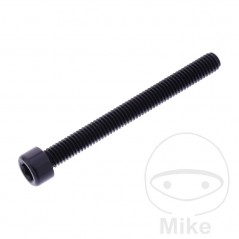 JMP Tornillo cilíndrico aluminio cabeza hexagonal M6X1.00 MM 775.06.79VAR