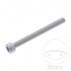 JMP Tornillo cilíndrico aluminio cabeza hexagonal M6X1.00 MM 775.06.79VAR