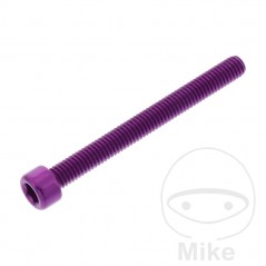 JMP Tornillo cilíndrico aluminio cabeza hexagonal M6X1.00 MM 775.06.79VAR