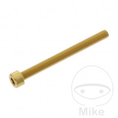 JMP Tornillo cilíndrico aluminio cabeza hexagonal M6X1.00 MM 775.06.79VAR