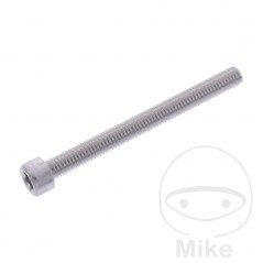 JMP Tornillo cilíndrico aluminio cabeza hexagonal M6X1.00 MM 775.06.79VAR