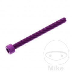 JMP Tornillo cilíndrico aluminio cabeza hexagonal M6X1.00 MM 775.06.79VAR
