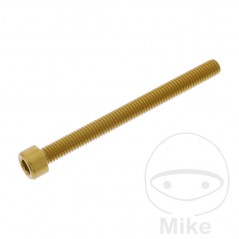 JMP Tornillo cilíndrico aluminio cabeza hexagonal M6X1.00 MM 775.06.79VAR
