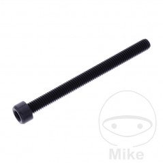 JMP Tornillo cilíndrico aluminio cabeza hexagonal M6X1.00 MM 775.06.79VAR