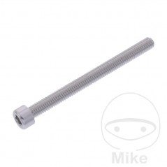JMP Tornillo cilíndrico aluminio cabeza hexagonal M6X1.00 MM 775.06.79VAR
