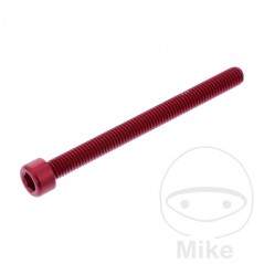 JMP Tornillo cilíndrico aluminio cabeza hexagonal M6X1.00 MM 775.06.79VAR