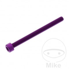 JMP Tornillo cilíndrico aluminio cabeza hexagonal M6X1.00 MM 775.06.79VAR