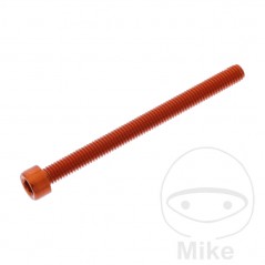 JMP Tornillo cilíndrico aluminio cabeza hexagonal M6X1.00 MM 775.06.79VAR
