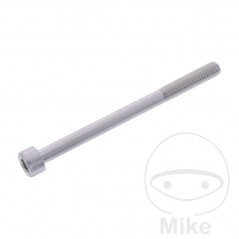 JMP Tornillo cilíndrico aluminio cabeza hexagonal M6X1.00 MM 775.06.79VAR