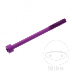 JMP Tornillo cilíndrico aluminio cabeza hexagonal M6X1.00 MM 775.06.79VAR